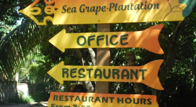 Бунгало с балконом Seagrape Plantation Resort & Dive Center