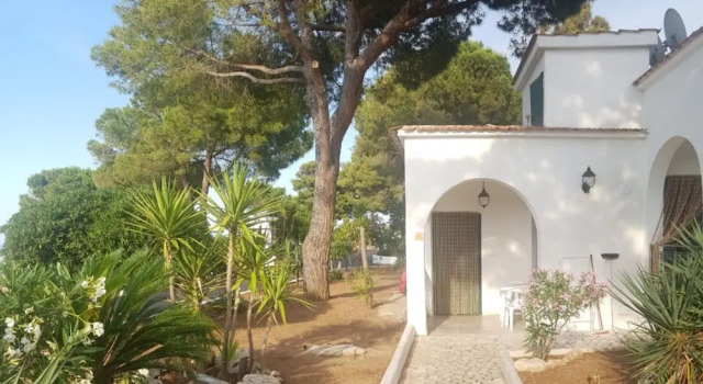 Апартаменты Villaggio Turistico Valle Scinni