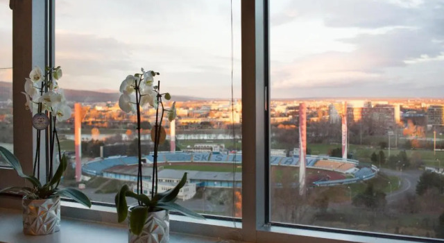 Студия Bajka Studio