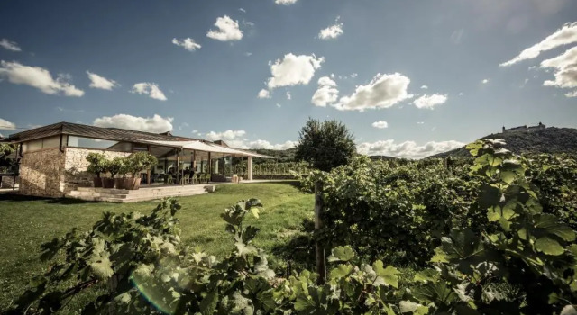 Люкс Deluxe MALAT Weingut und Hotel