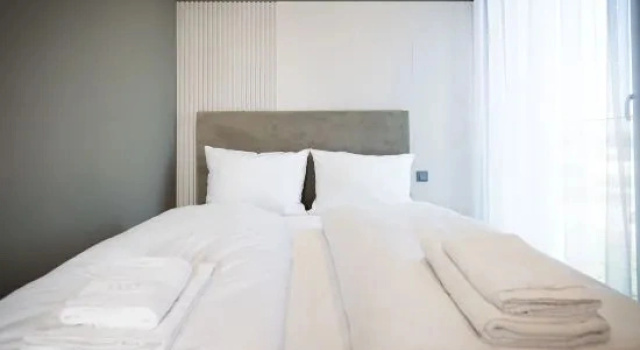 Люкс с балконом Taunus Suites