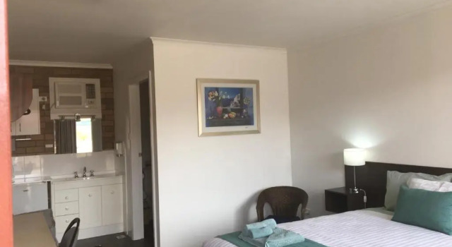 Номер Deluxe Camellia Motel