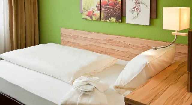 Одноместный номер Comfort business & conference Sporthotel Großwallstadt