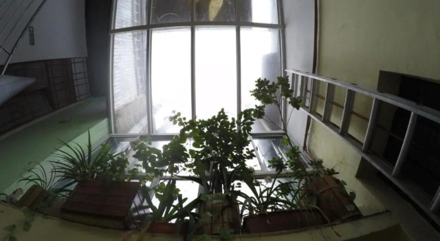 Кровать в общем номере Kymani House