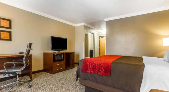 Номер Standard Comfort Inn & Suites Redwood Country