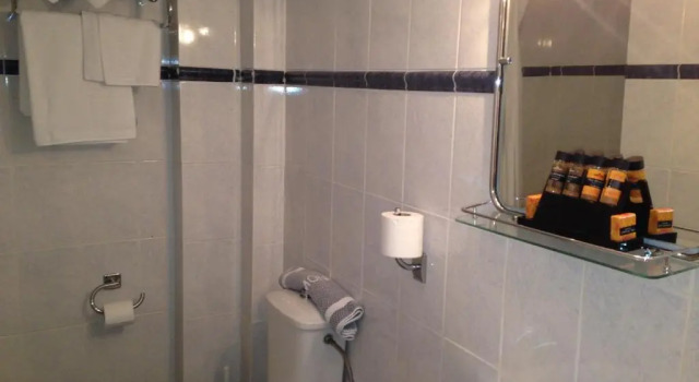 Одноместный номер Standard Anemoni Piraeus Hotel