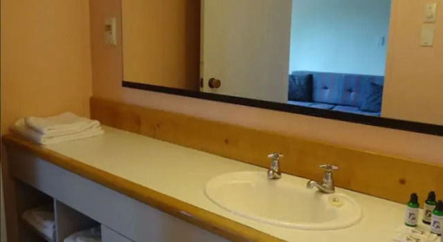 Suite Alpine Chalets
