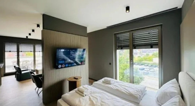 Люкс Deluxe Taunus Suites