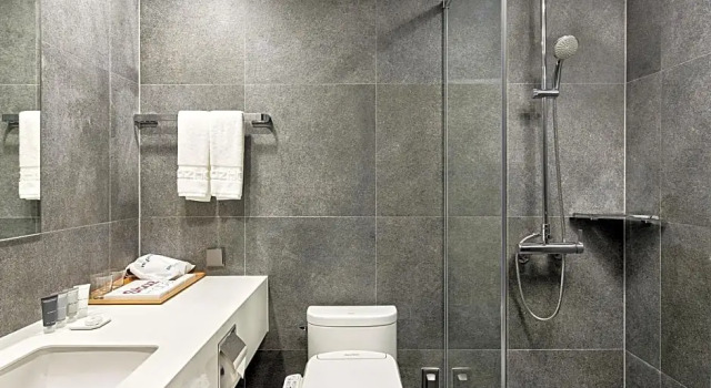 Deluxe cameră Staz Hotel Ulsan