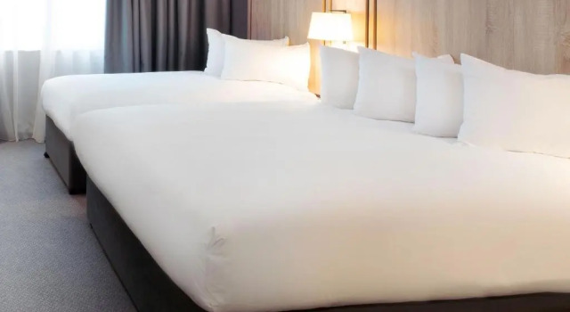 Трёхместный номер Standard Leonardo Hotel London Watford