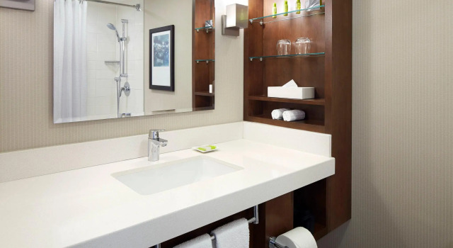 Двухместный номер Standard Delta Hotels by Marriott Kingston Waterfront