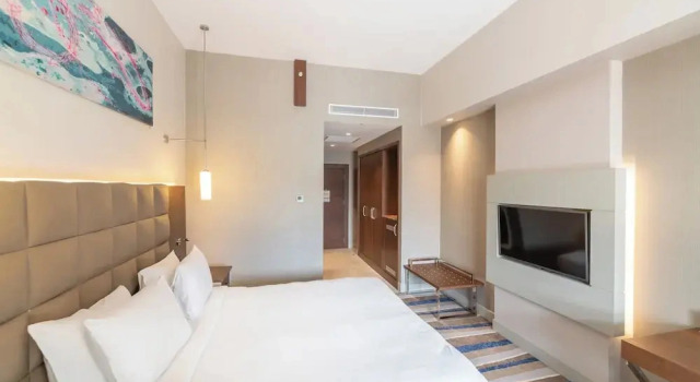 Одноместный номер Standard с видом на горы Отель Questa Thermal & SPA Hotel Eskişehir