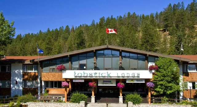 Одноместный номер Standard Lobstick Lodge