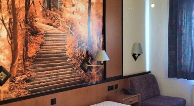 Двухместный номер Business Hotel Seebach