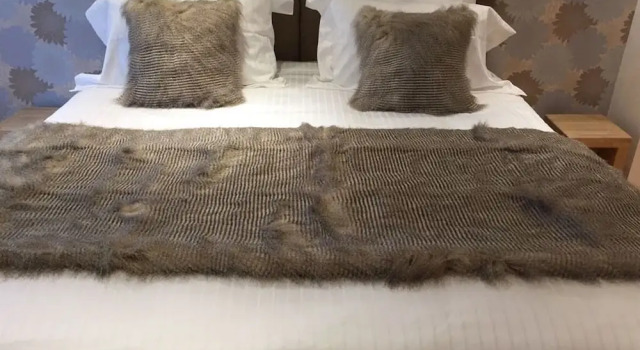 Номер Standard 8 Owls B&B