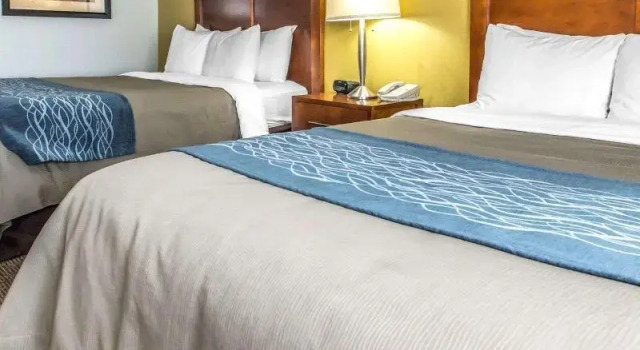 Номер Standard Quality Inn Belle Vernon