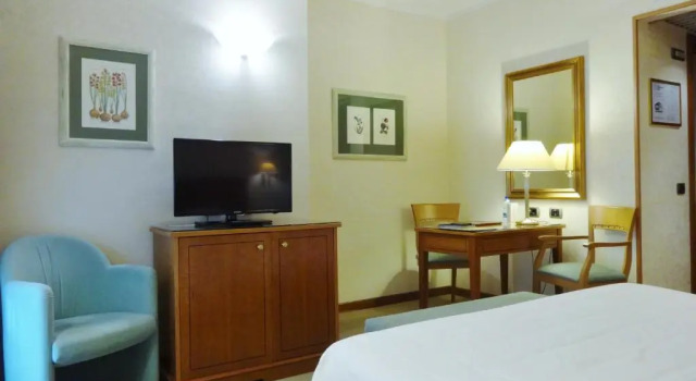 Одноместный номер Standard Hotel Excelsior Magenta