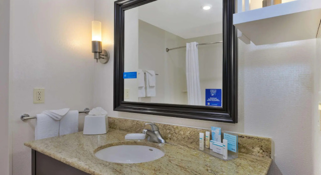 Номер Standard Hampton Inn and Suites Flint/Grand Blanc