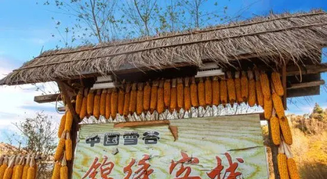 Wuchang Xuegu Jinxiu Inn