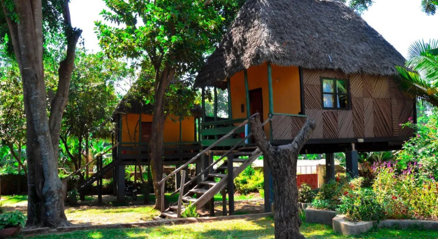 Standard Bungalow L'Oasis Lodge & Restaurant