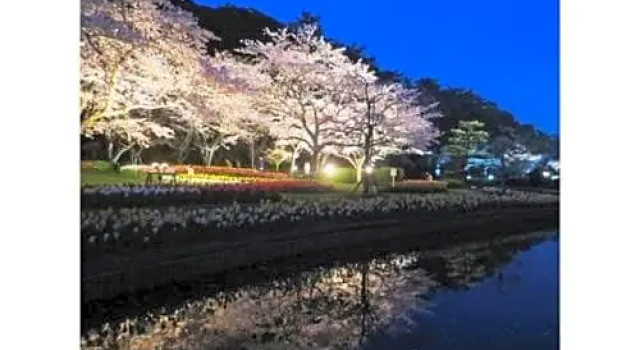 Kanzanji Sago Royal Hotel - Vacation STAY 43402v