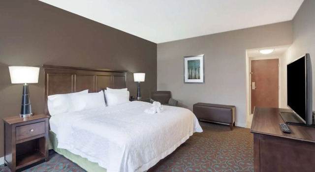Номер Standard Hampton Inn Terre Haute