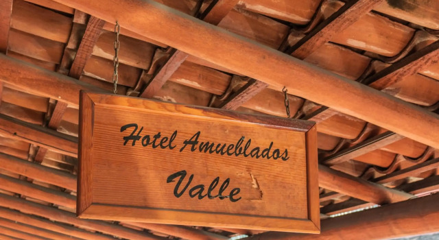 Apartamentos Amueblados Valle