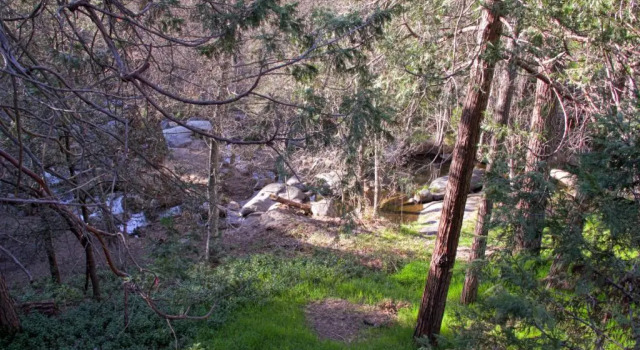 Коттедж Yosemite Scenic Wonders Sierra Springs
