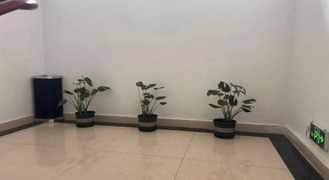 Huali Business Hotel, Prenota Hotel Suzhou (Jiangsu) 