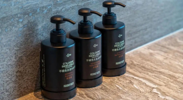 Двухместный номер Deluxe с видом на город Raffles Shenzhen