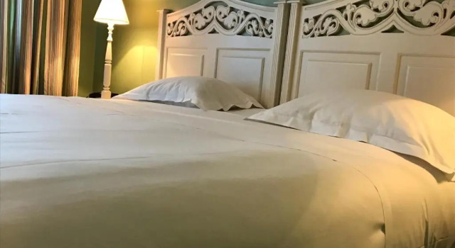 Двухместный номер Superior с видом на сад Hotel Festival