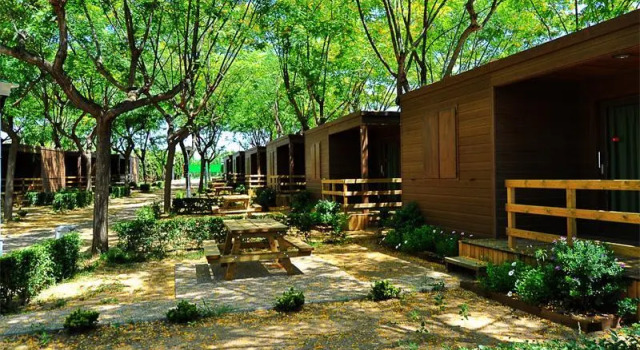 Camping Bungalows Amfora d'Arcs cambrils, Book Campground Vinyols i els Arcs Costa Dorada