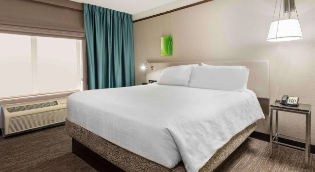 Двухместный люкс с диваном c 1 комнатой Hilton Garden Inn Wilmington Mayfaire Town Center