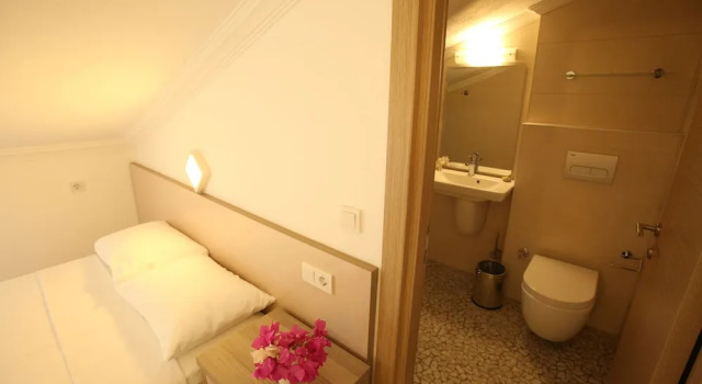Номер Economy Мансарда с балконом и с видом на горы Aria Doria Otel