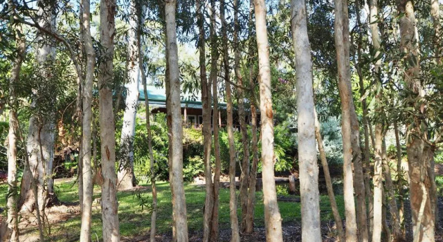 Коттедж Luxury с 2 комнатами Lake Weyba Cottages Noosa