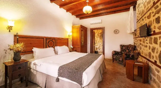 Двухместный номер Standard Hotel Villa Turka