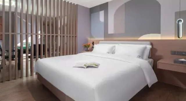 Люкс Mojiang Yunduo Hotel