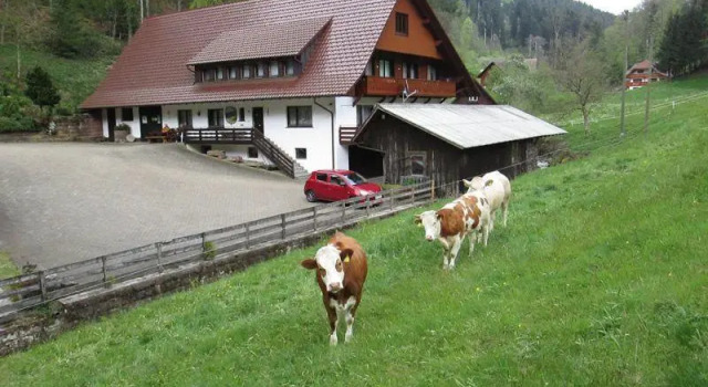 Hinterkimmighof-2, Reserva ahora Hotel Hoteles en Baden-Wurtemberg con aparcamiento, Aparcamiento