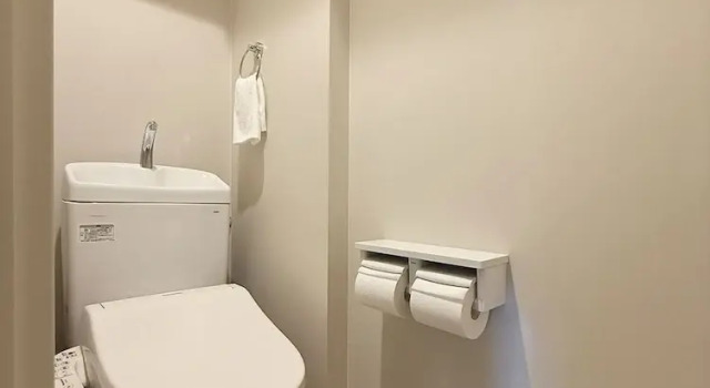 Апартаменты Luxury Grandeur Hamamoto