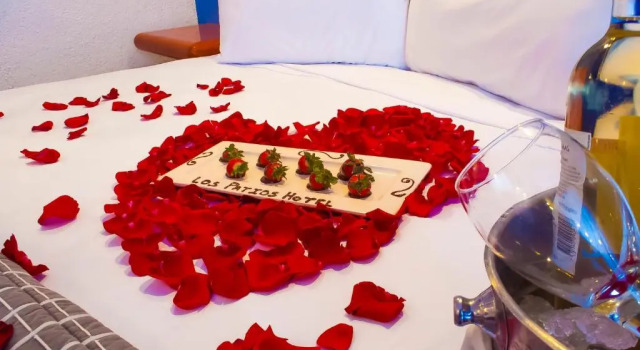 Двухместный номер Standard Hotel Los Patios