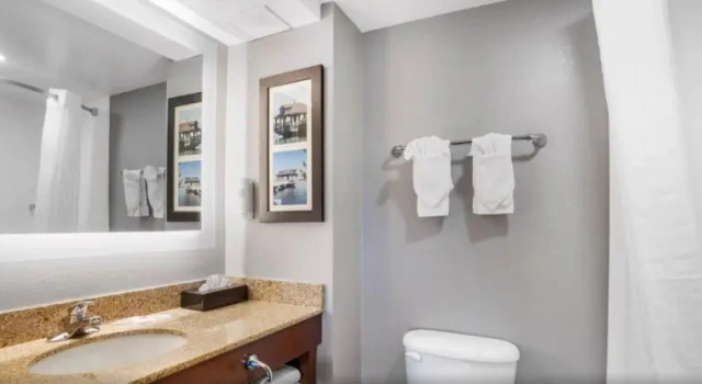 Люкс c 1 комнатой Comfort Suites near Birkdale Village- Huntersville