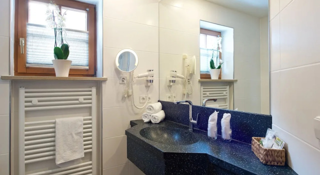 Двухместный номер Classic Concordia Vitalhotel & SPA