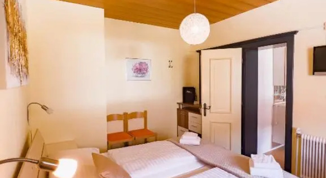 Двухместный номер Economy Sylpaulerhof Aparthotel
