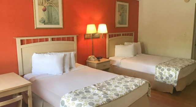 Номер Standard Duo Boutique Hotel