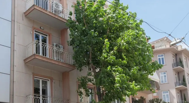 Charming Urban Oasis at Megaro Mousikis