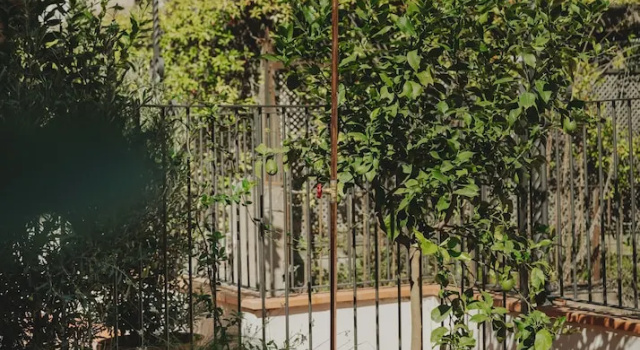 Люкс Casa Llimona Hotel Boutique