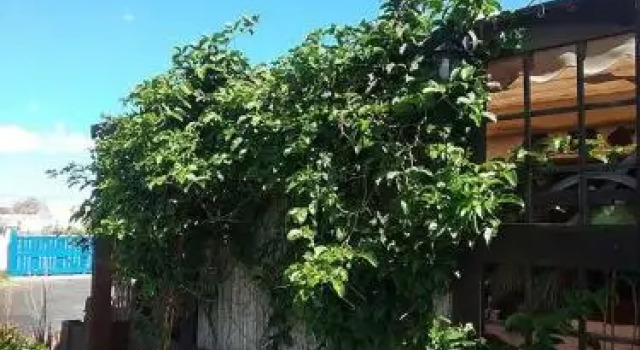 Casa Rural SoleaRio, Prenota Hotel La Oliva Fuerteventura