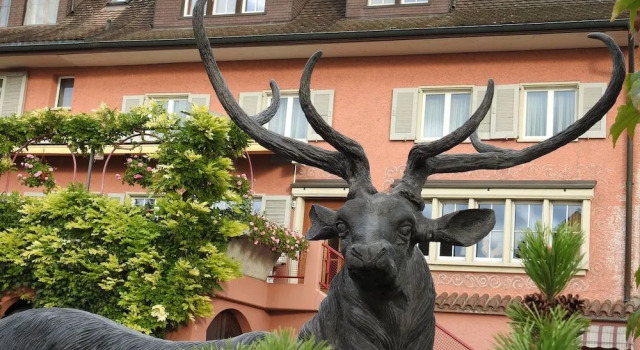 Landhotel Hirschen, Prenota Hotel Schlatt 