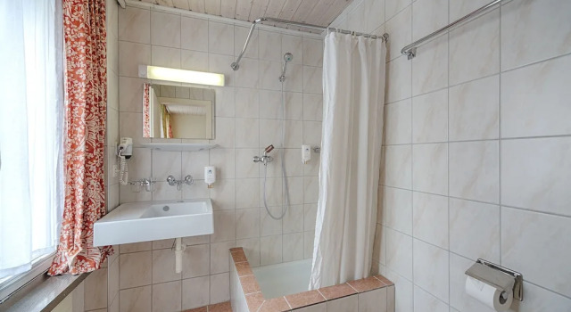 Четырёхместный номер Standard Hotel Blume Interlaken