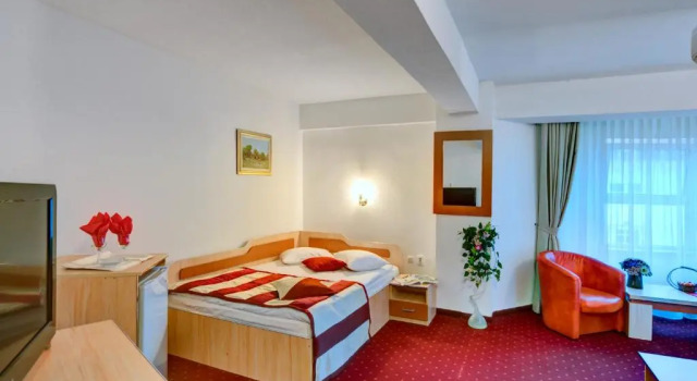 Номер Standard Hotel Cornul Vanatorului
